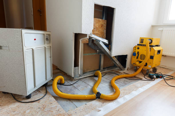 Best Emergency Mold Remediation  in Lyncourt, NY