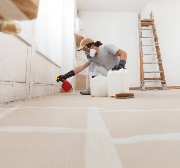 Best Mold Prevention Services  in Lyncourt, NY